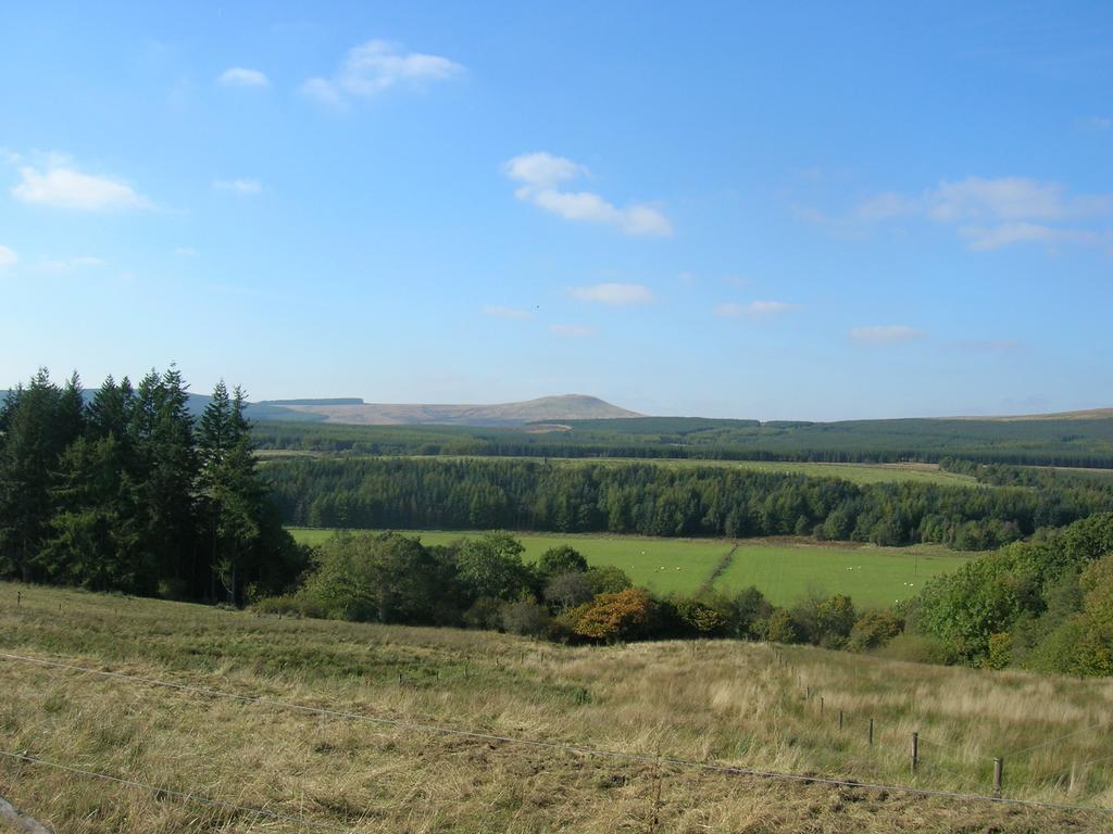 Sorbietrees B&B Newcastleton ภายนอก รูปภาพ