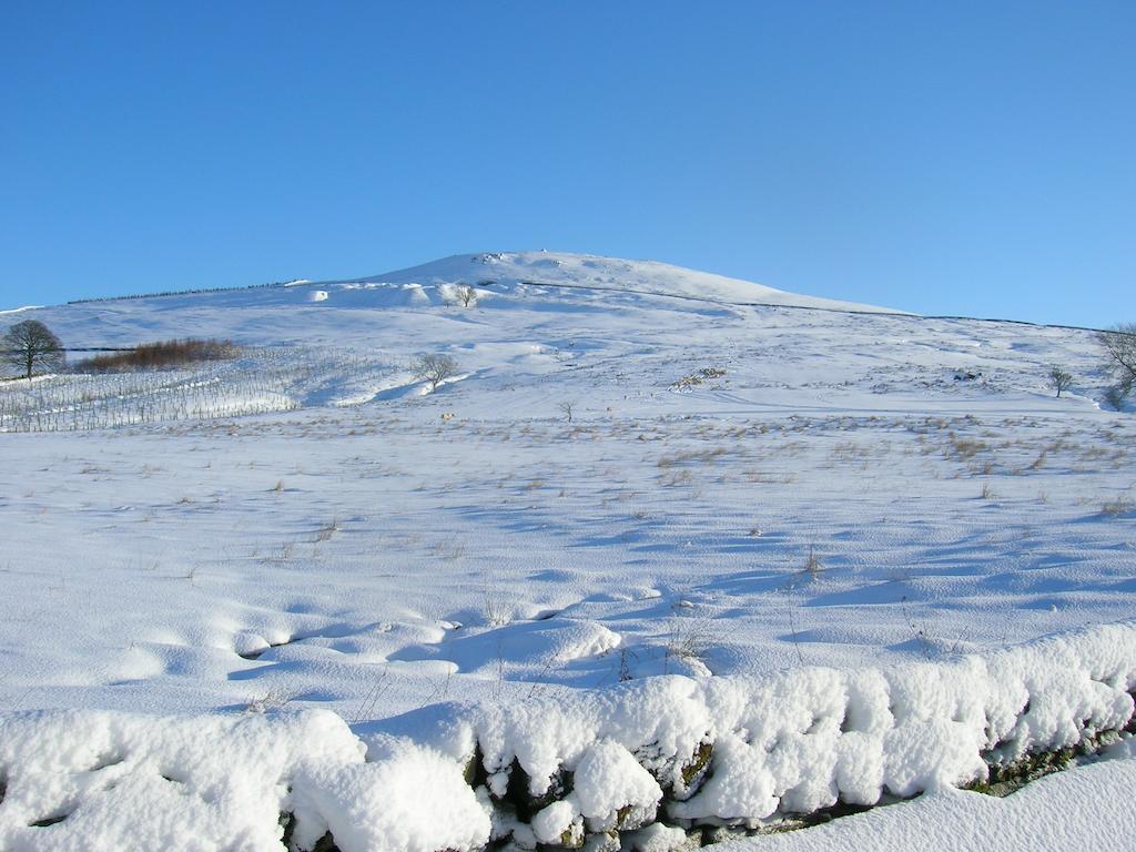Sorbietrees B&B Newcastleton ภายนอก รูปภาพ